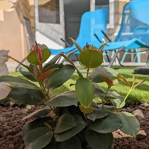 Oceano Mare - Tu Casa En Maspalomas Appartamento