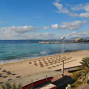 Delfin Playa de Palma (Mallorca)