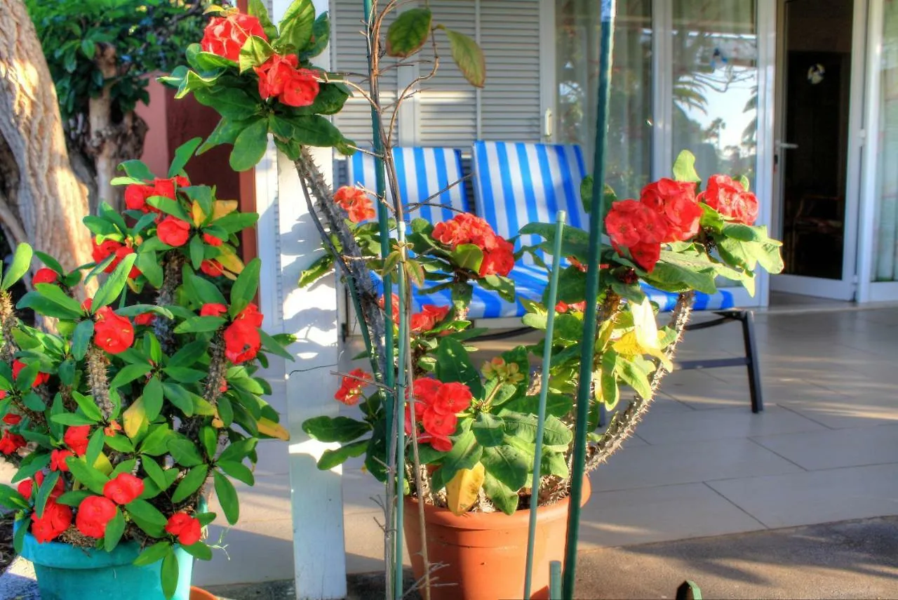 Chalet Bungalows Los Melocotones Maspalomas